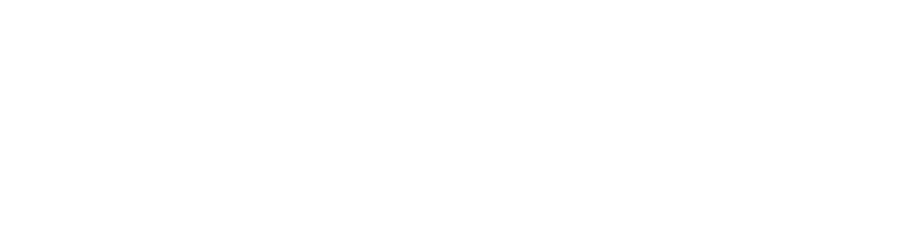 RevoSolve
